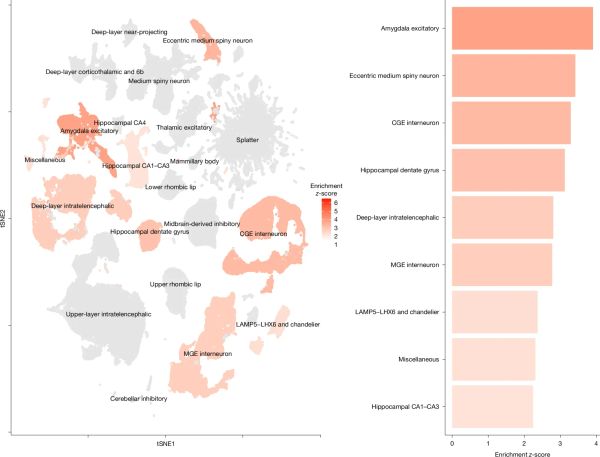 New genes and pathways have been discovered in bipolar disorder