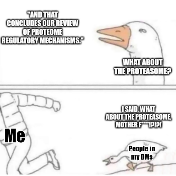 The proteasome and lysosome decide what proteins live or die