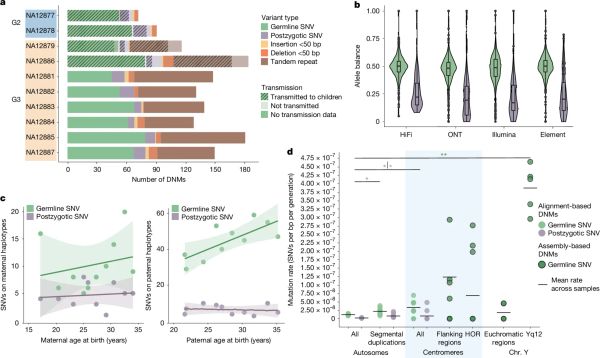 De novo mutations are more common than we previously thought