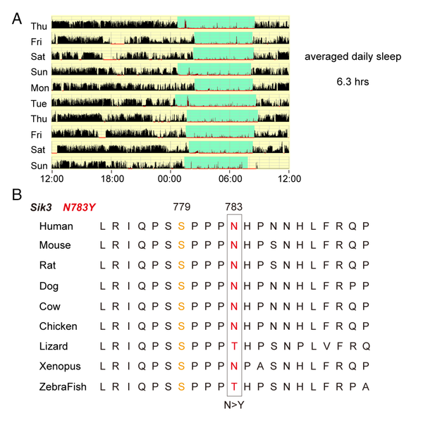 A gene for short sleep duration