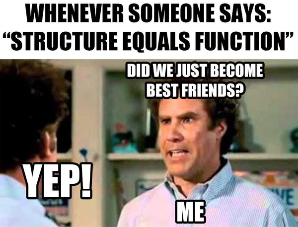 Structure equals function might be the most important phrase in proteomics