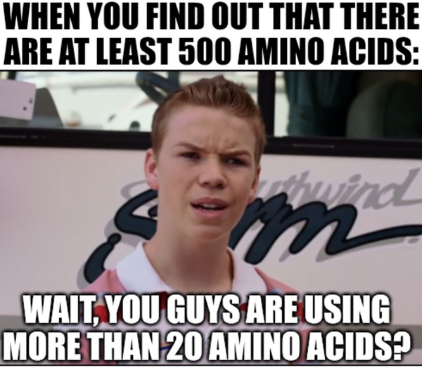 Amino acids? We don't need more stinking amino acids...or do we?