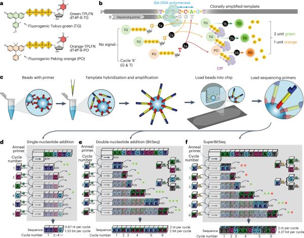 Fuzzy Sequencing: Sometimes close enough is good enough