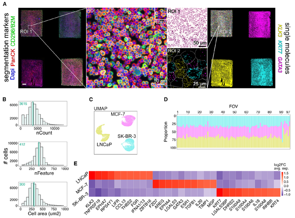 STAMP brings us non-destructive single-cell profiling without the sequencing