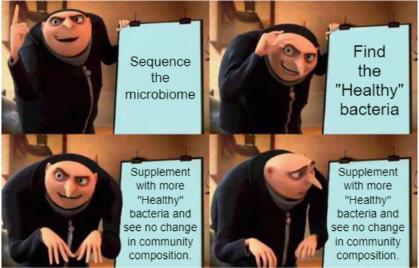 The microbiome has more to do with traditional ecology than you might think
