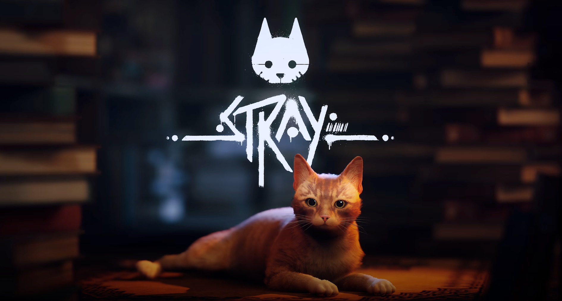 The title "Stray" in white spraypaint style, rests just behind a little orange tabby cat, surrounded by books in a small library you get to explore in the game.