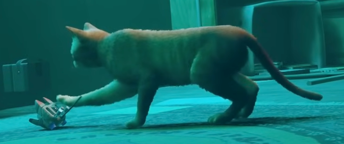 A screen capture from STRAY, the orange cat paws at the little floating robot B-12 because that's a bit strange.