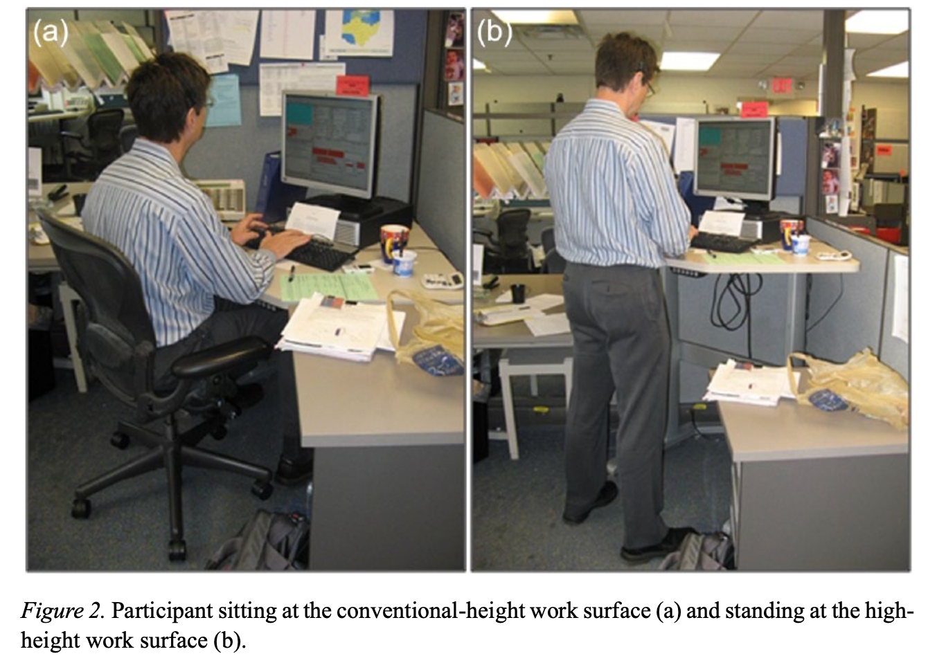 Figure 2 of the paper: Participant sitting at the conventional-height work surface (a) and standing at the high-height work surface (b).
