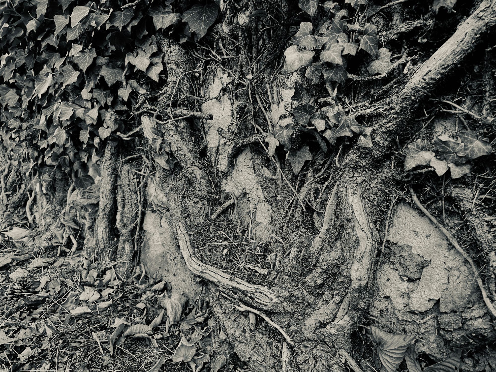 夏末秋初的童話/Un conte entre été et automne