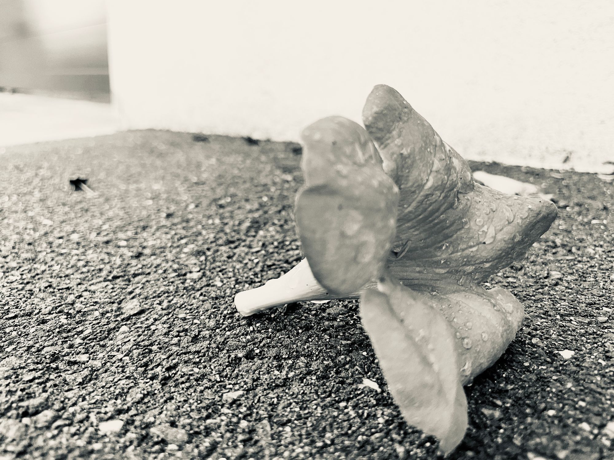 簡單特別想你