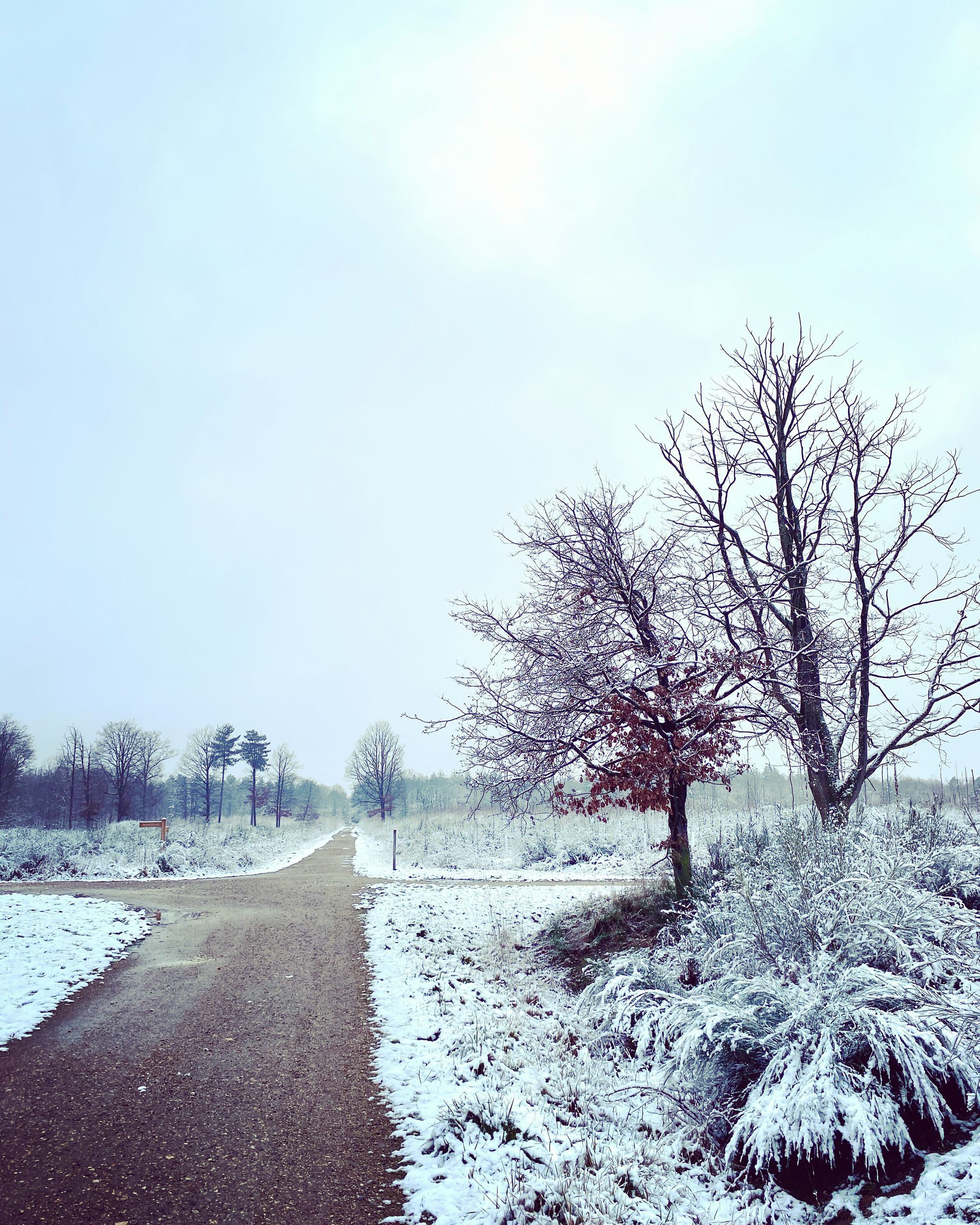 First snow on 2023