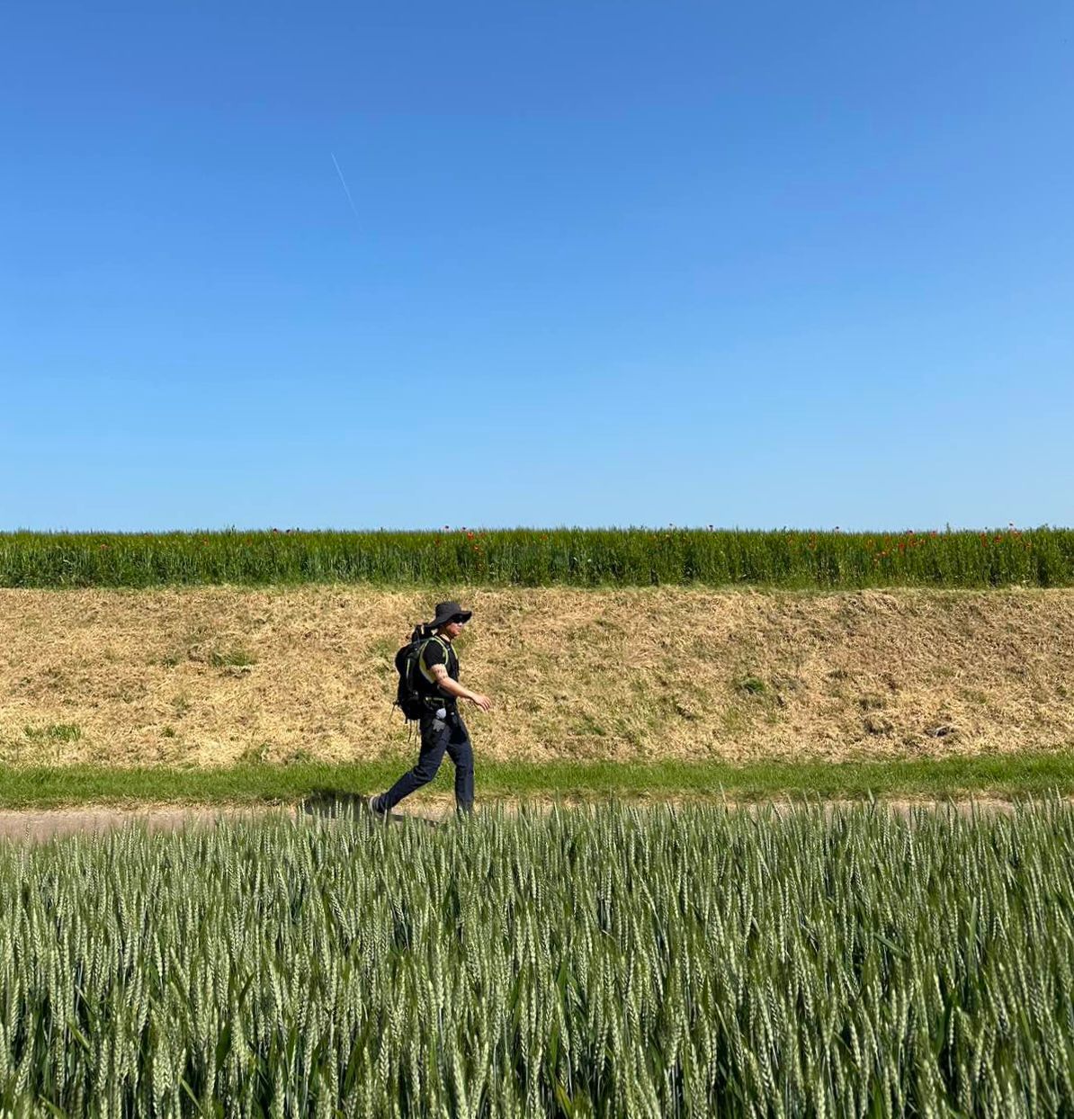 徒步吟 La randonnée