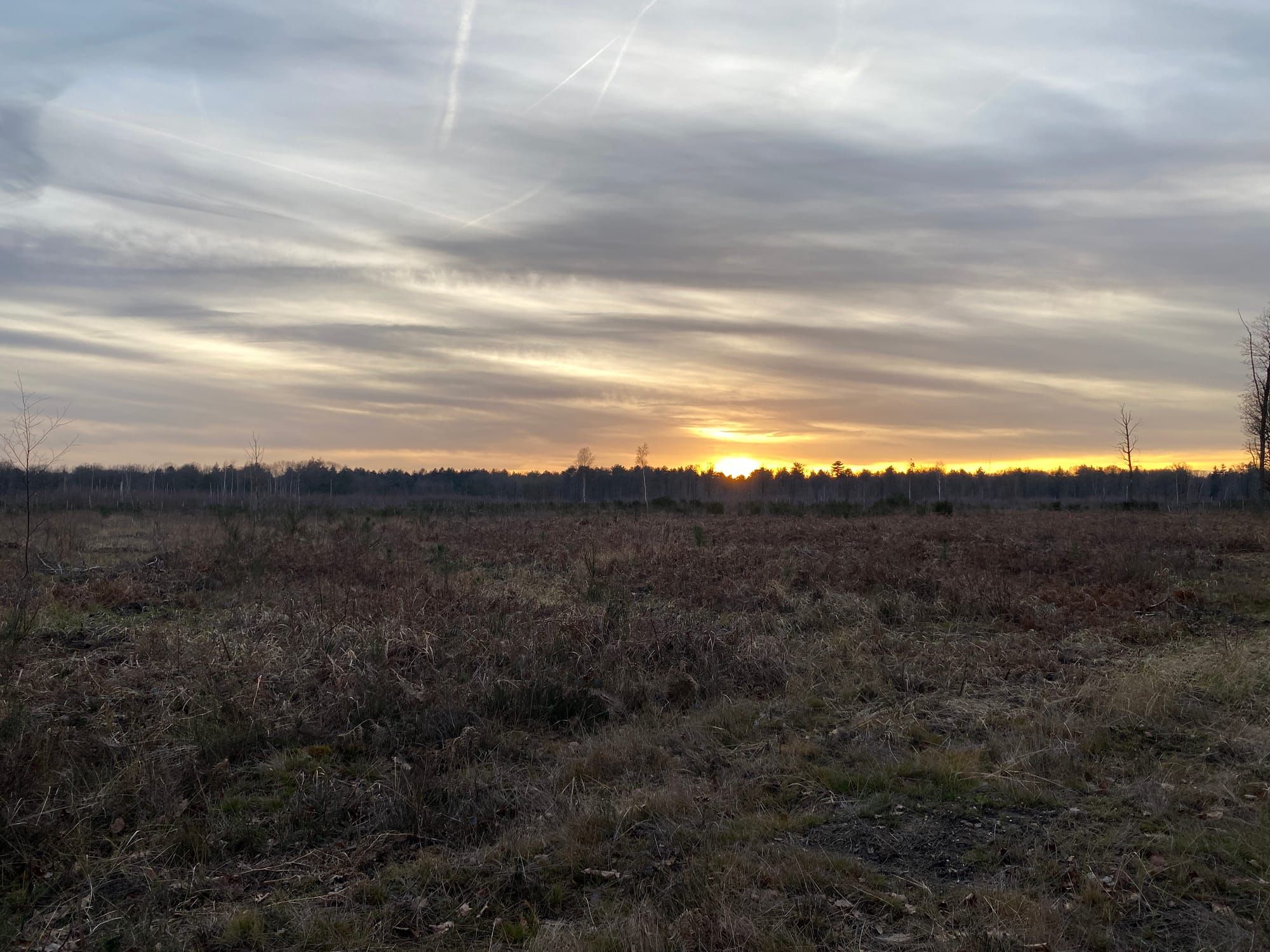 嫉妒/Je suis jaloux