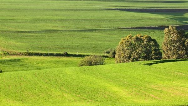 家乡的草原/Ma steppe