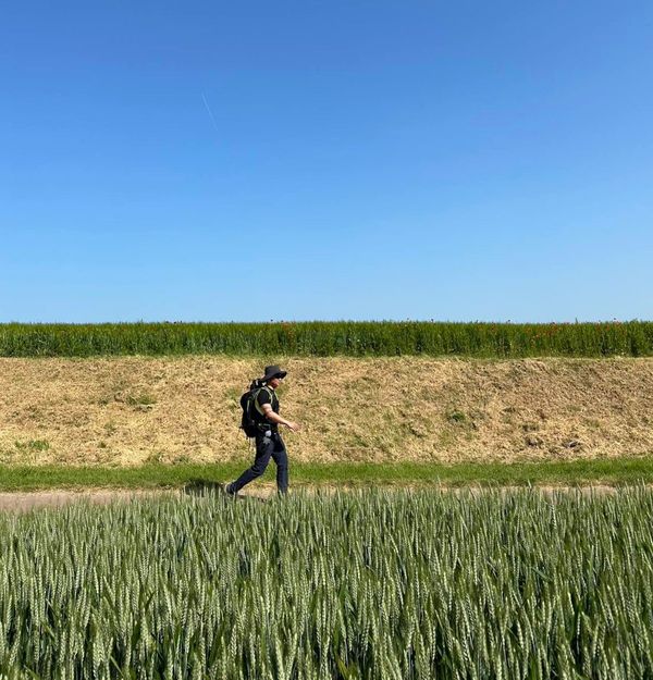 徒步吟 La randonnée