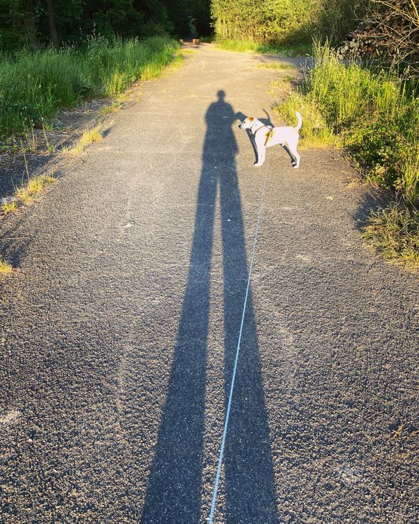 夕阳与影子 La lumière et l'ombre