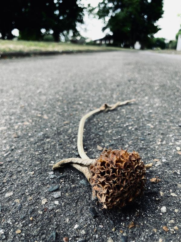 Un monde parallèle/平行世界