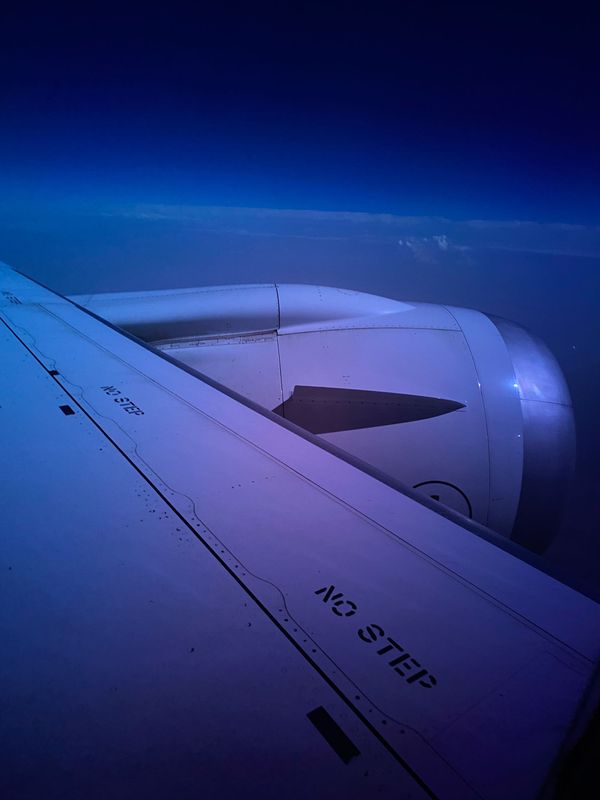 Racine et ailes/根与翼