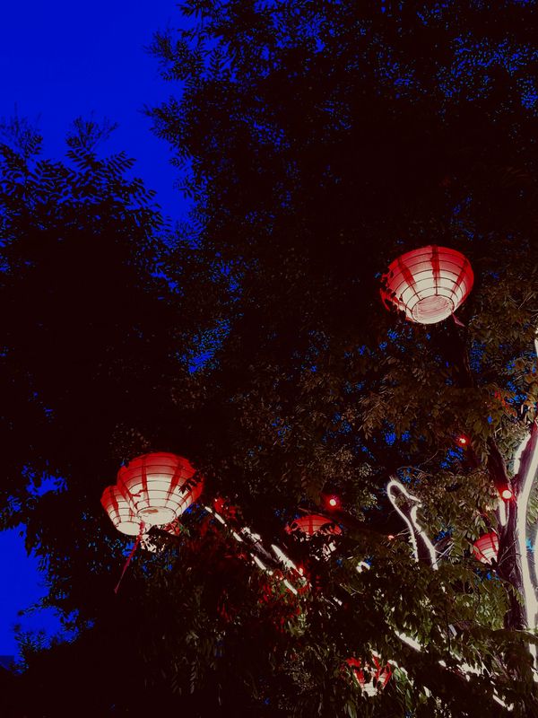 仲夏夜之夢/Songe estival