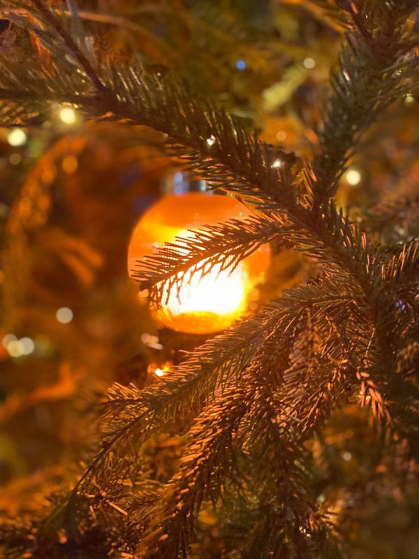 二零二三年平安夜