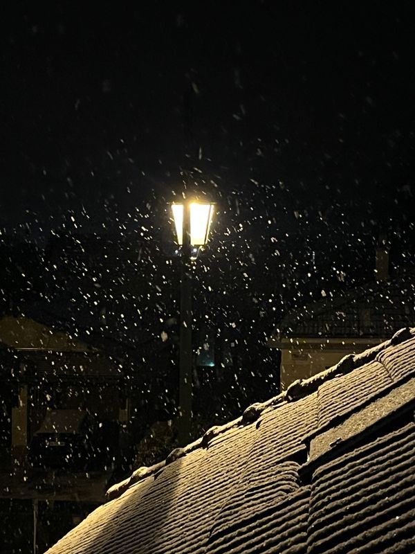 La neige de 2024/癸卯年乙丑月的雪