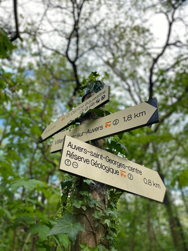 春游 / Randonnée au printemps