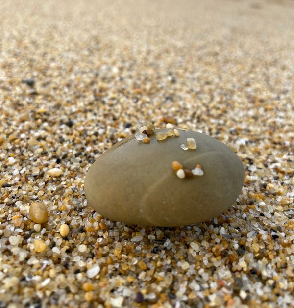 寒志铭 / Ambition