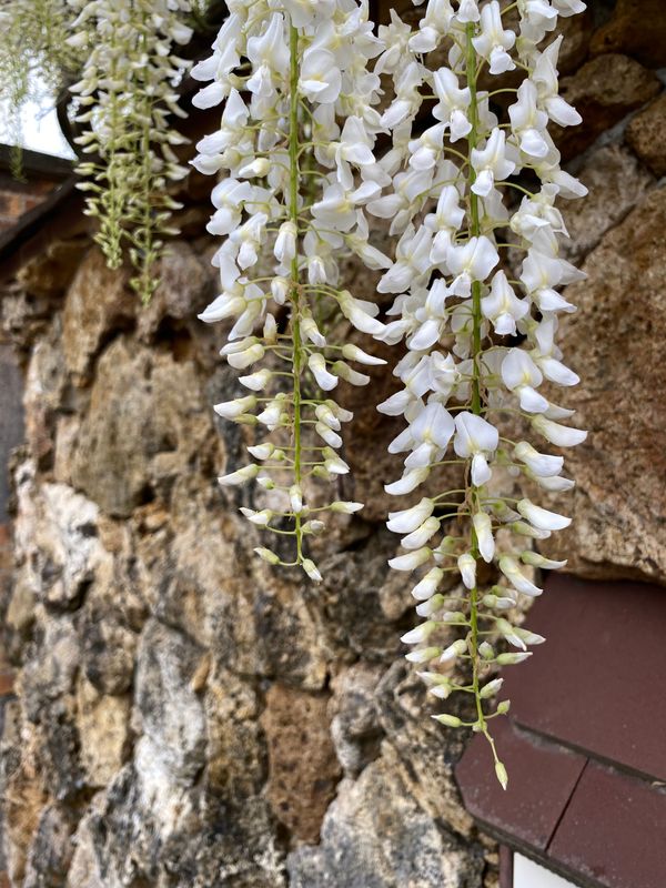 爸爸·墙/ Père et mur