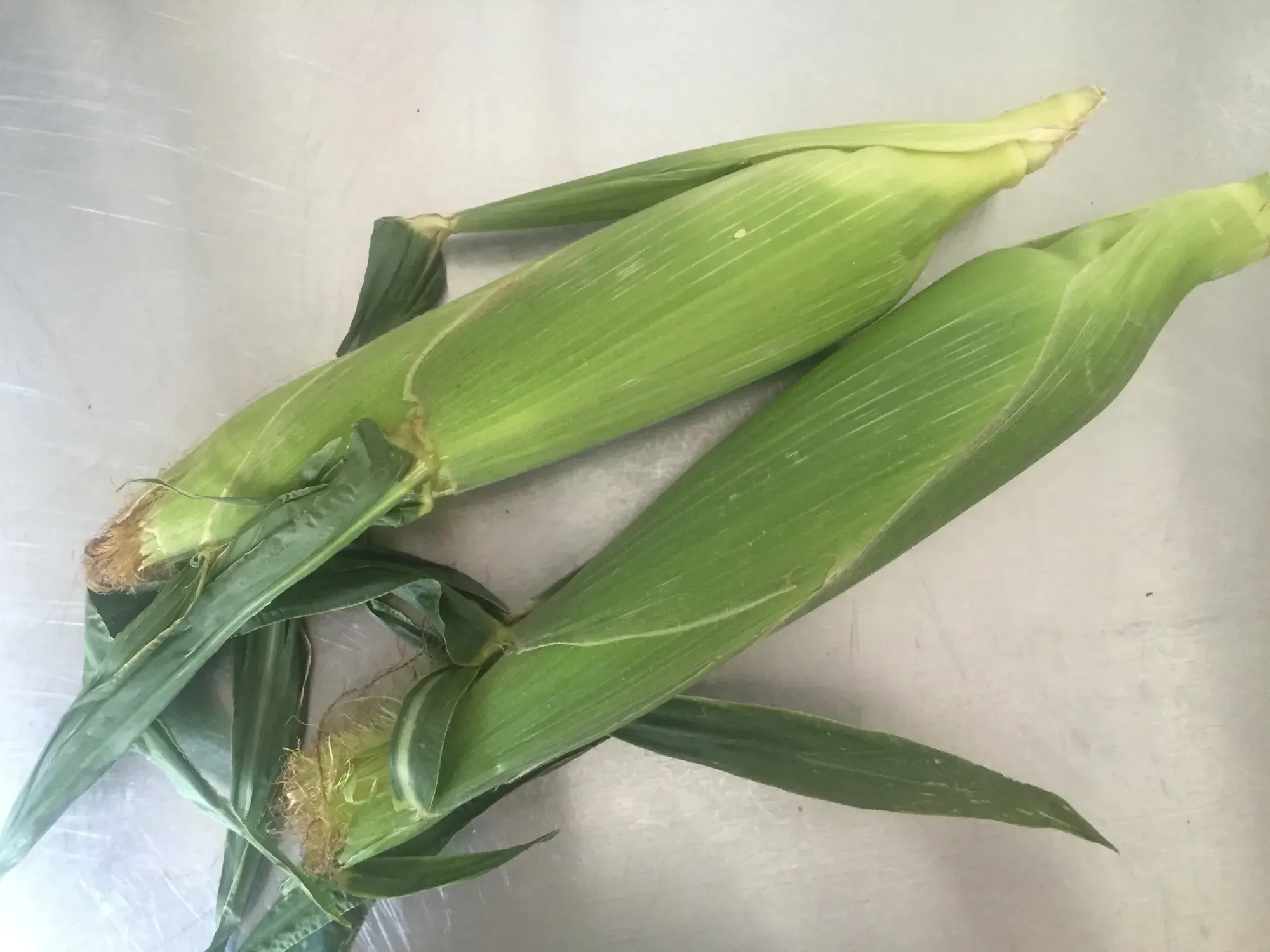 The corn chronicles