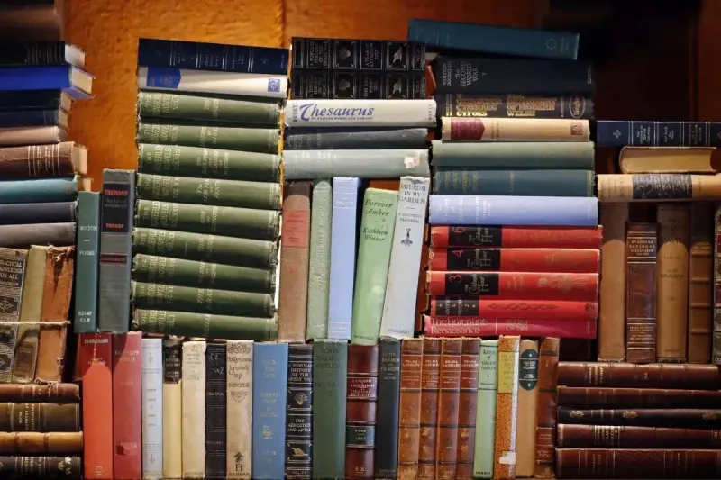 AI appropriated my books. Someone will profit, but it won’t be me