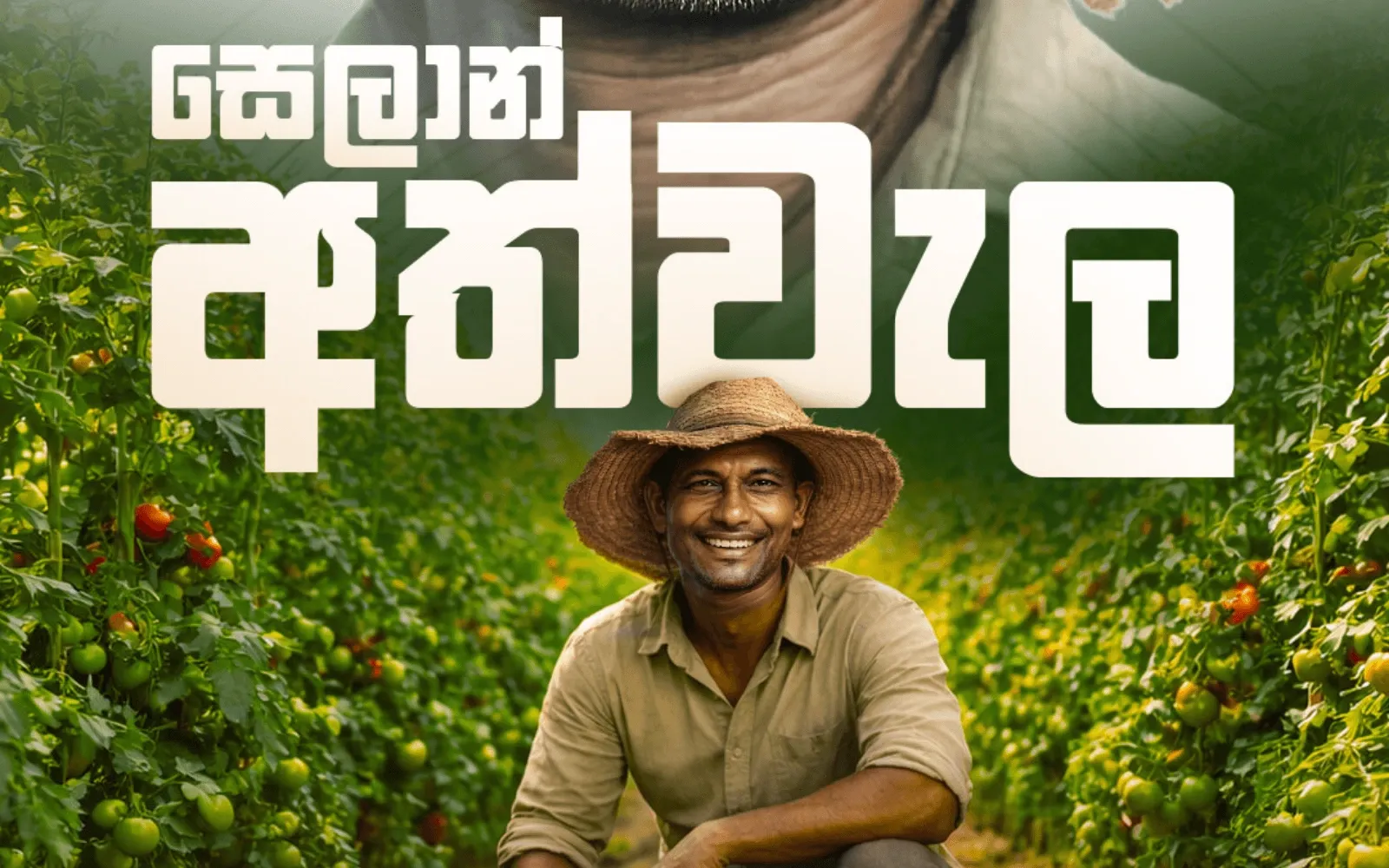 Seylan Bank Introduces ‘Seylan Athwela’ to Strengthen Sri Lanka’s Agriculture Sector