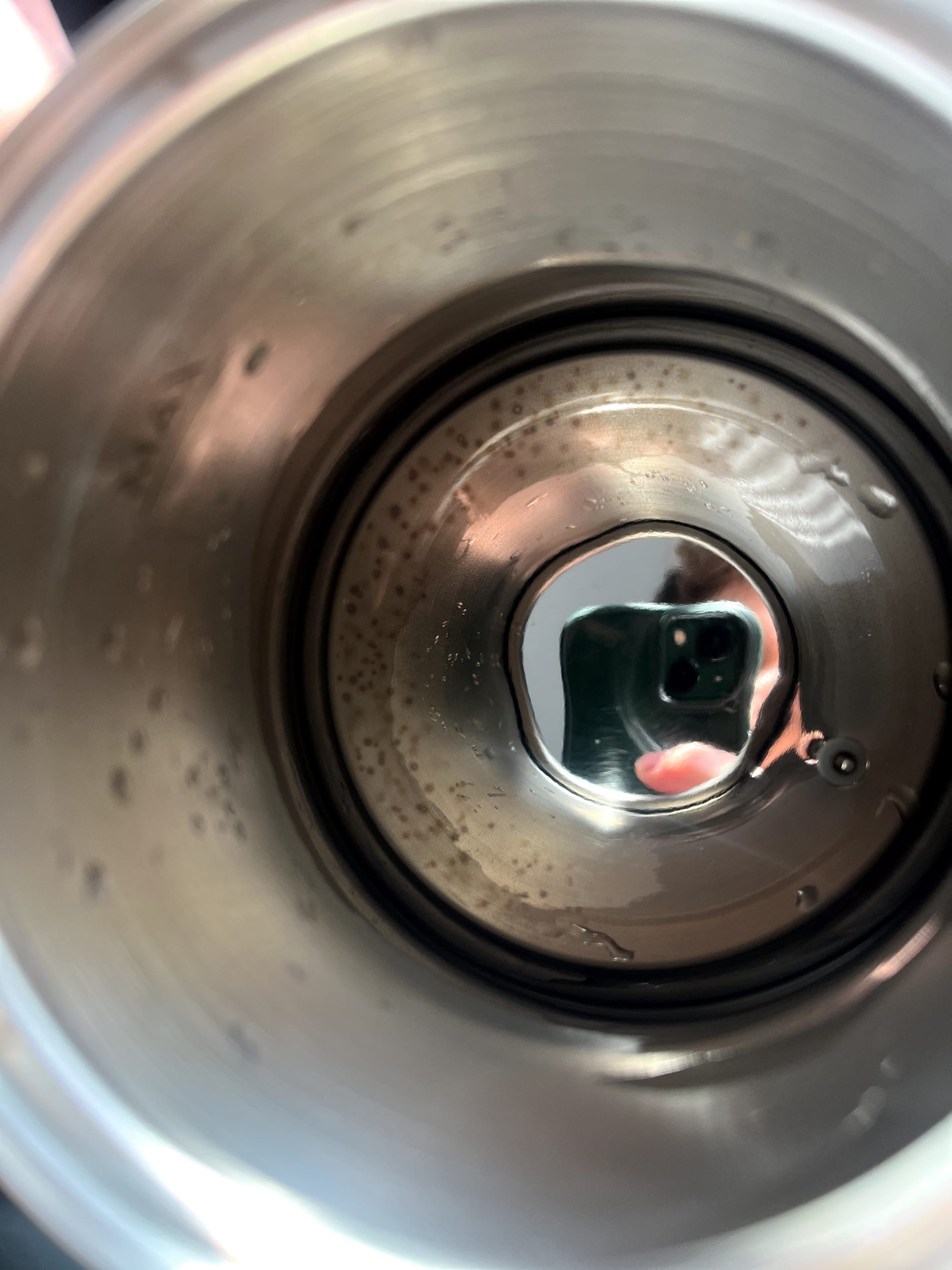 Fresh scale in kettle after just 2 boils of filtered tap water.