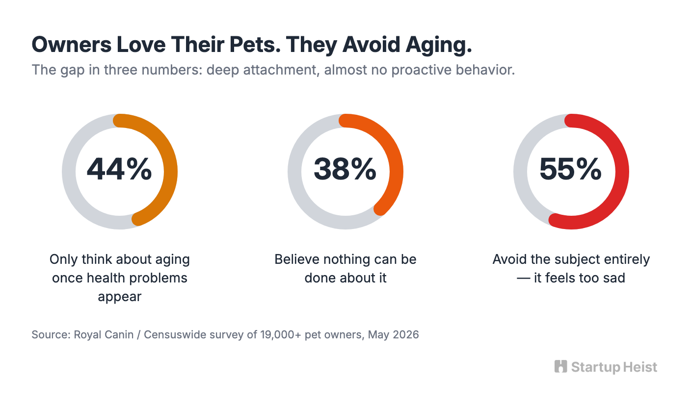 The Timing Window: Millions of Pandemic Pets Are Reaching Midlife