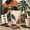The $8.66 Quart of Dirt: A $20K/Month Houseplant Brand