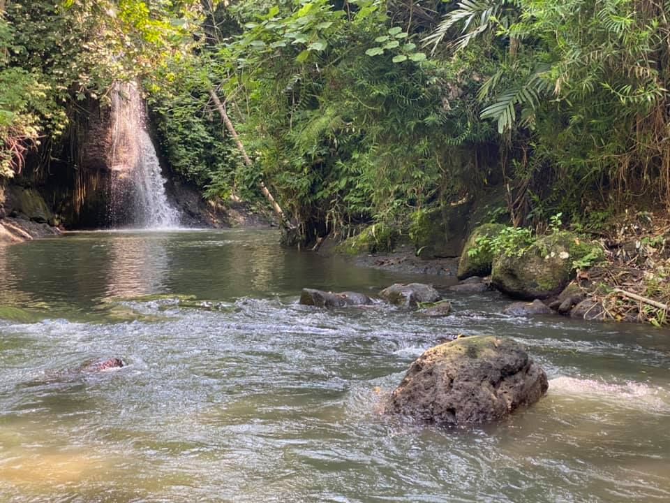 I fight the virus inside me