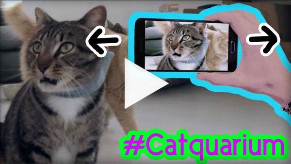 The biggest 360º video ever made