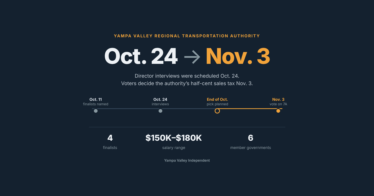 Transit authority planned to pick its first director before voters decide its tax