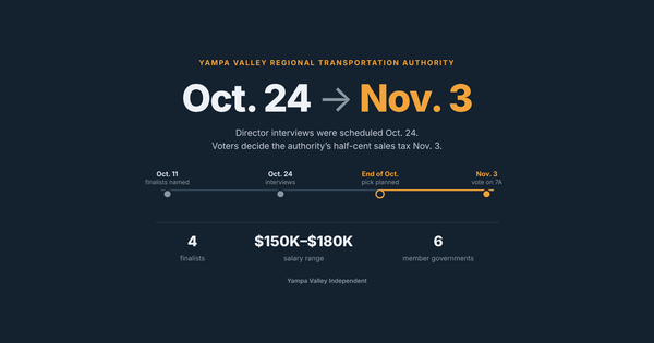 Transit authority planned to pick its first director before voters decide its tax