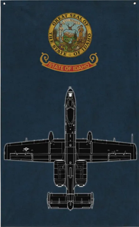 Warthog - 190th Fighter Squadron