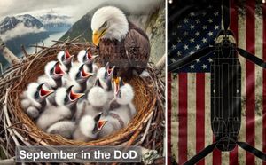 Leftover DoD Money?