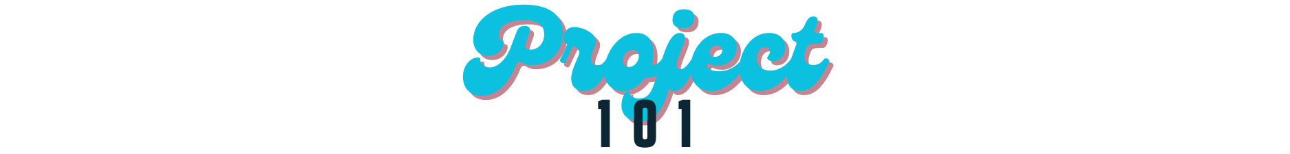 Project 101