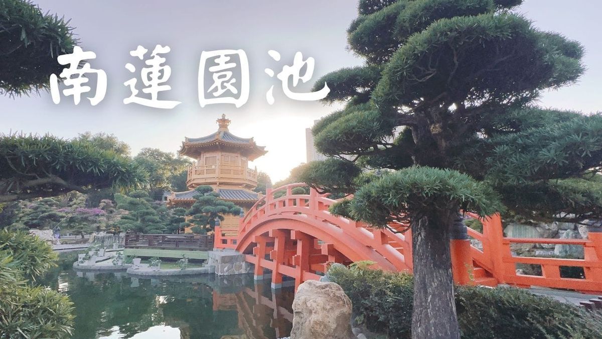 南蓮園池🌲香港鬧市中隱世古式建築