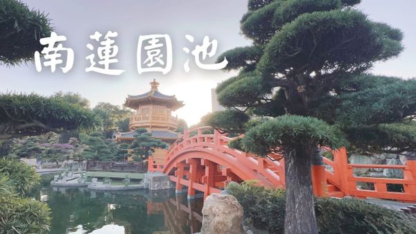 南蓮園池🌲香港鬧市中隱世古式建築