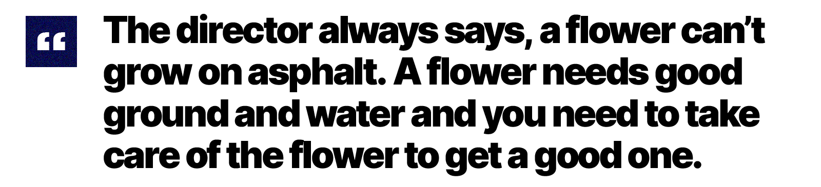 A graphic featuring a quote which reads: "The direct always says, a flower doesn't grow on asphalt. A flower needs good ground and water and you need to take care of the flower to get a good one."