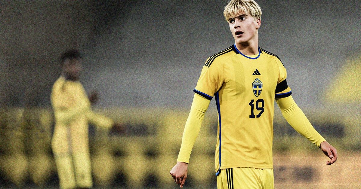 Lucas Bergvall: Sweden's next big thing