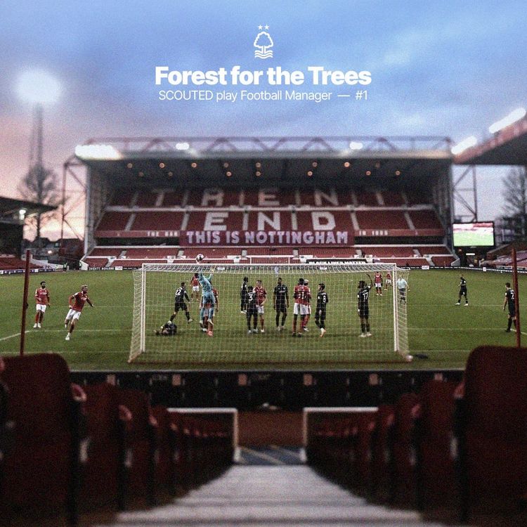 SCOUTED play FM24: Forest for the Trees