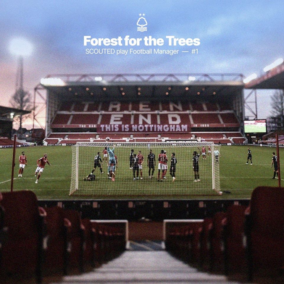 SCOUTED play FM24: Forest for the Trees