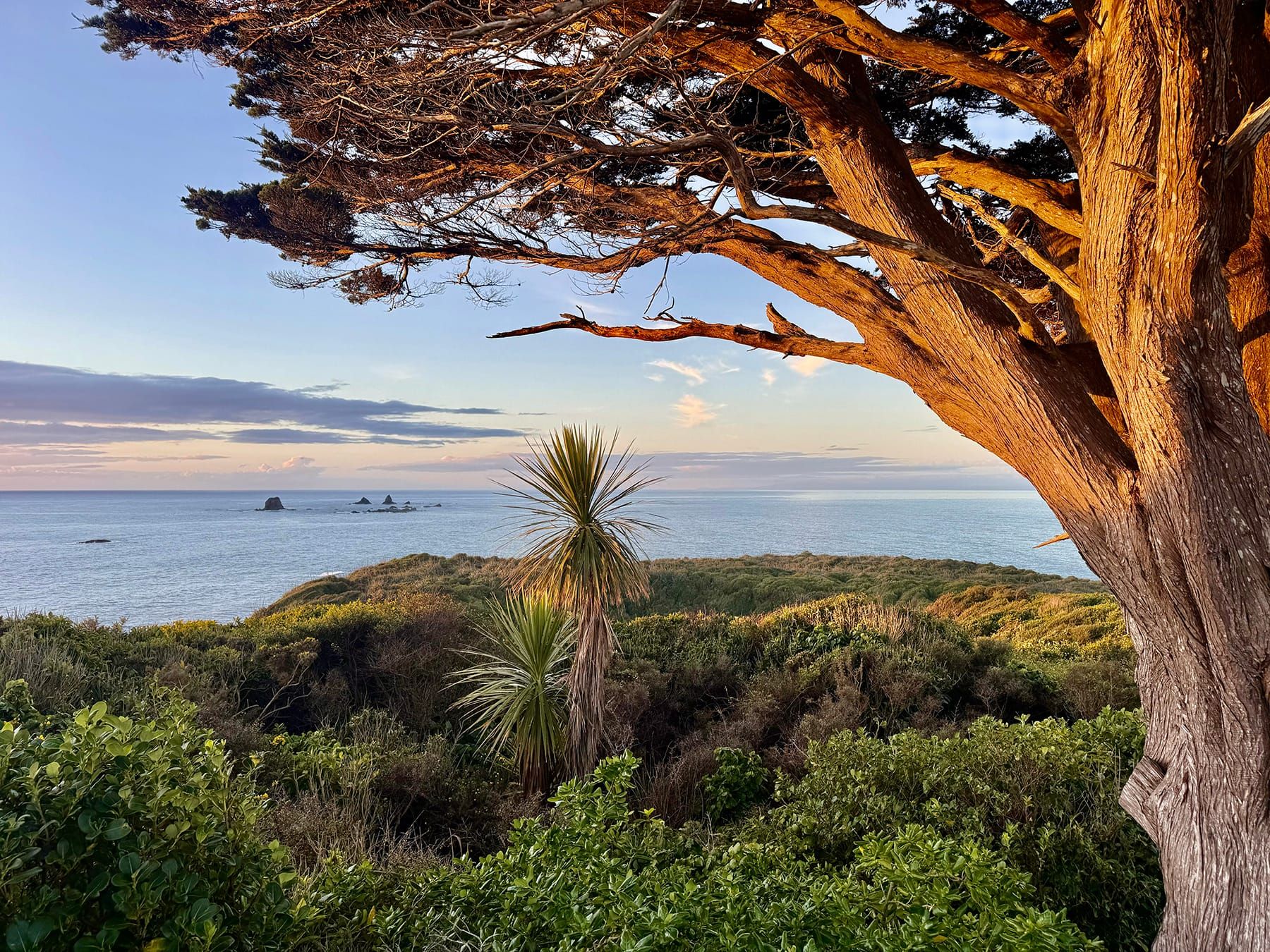 We moved to the West Coast to tell its stories.