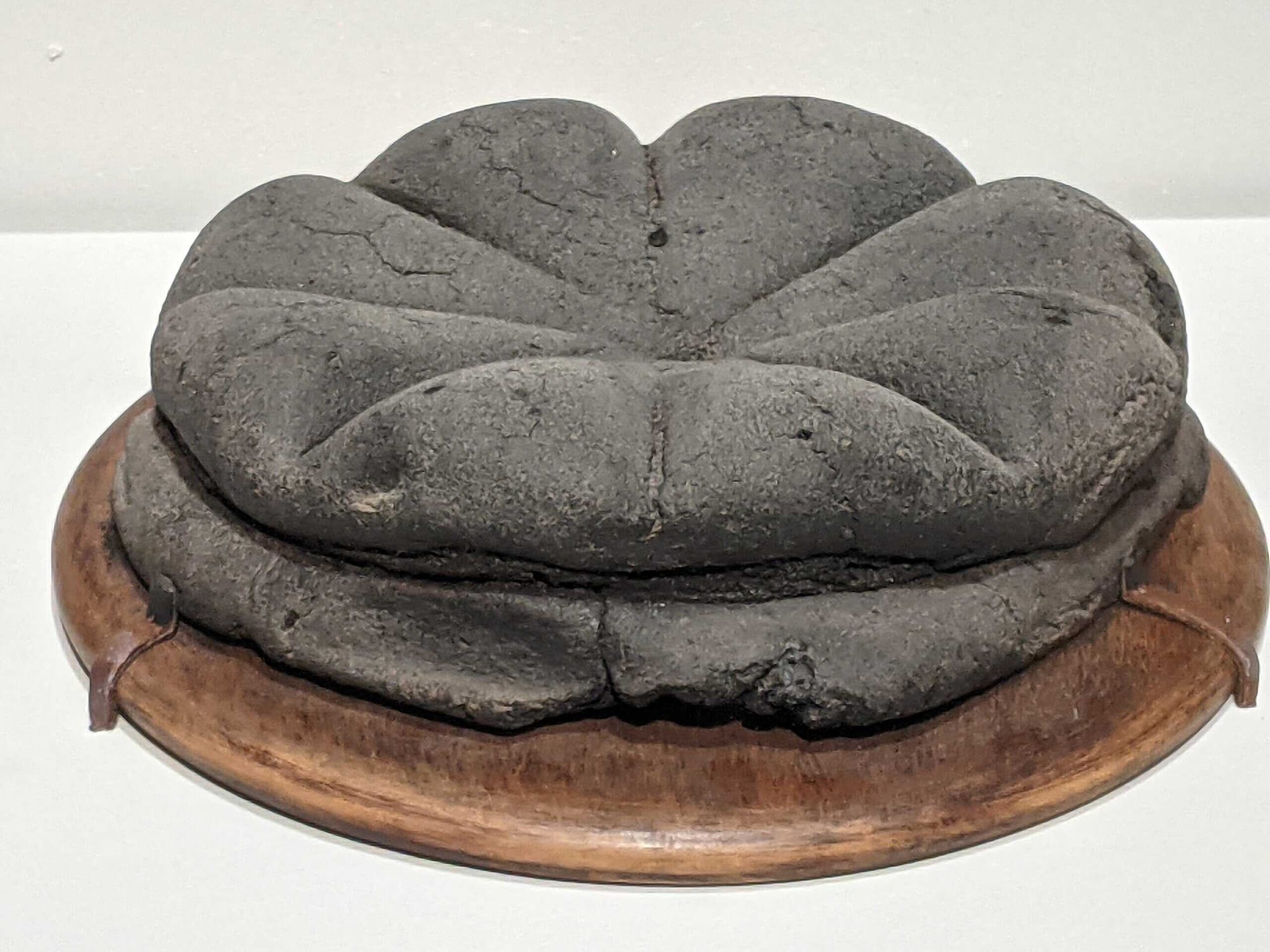 Fossilised carbonized Roman bread found in Herculaneum