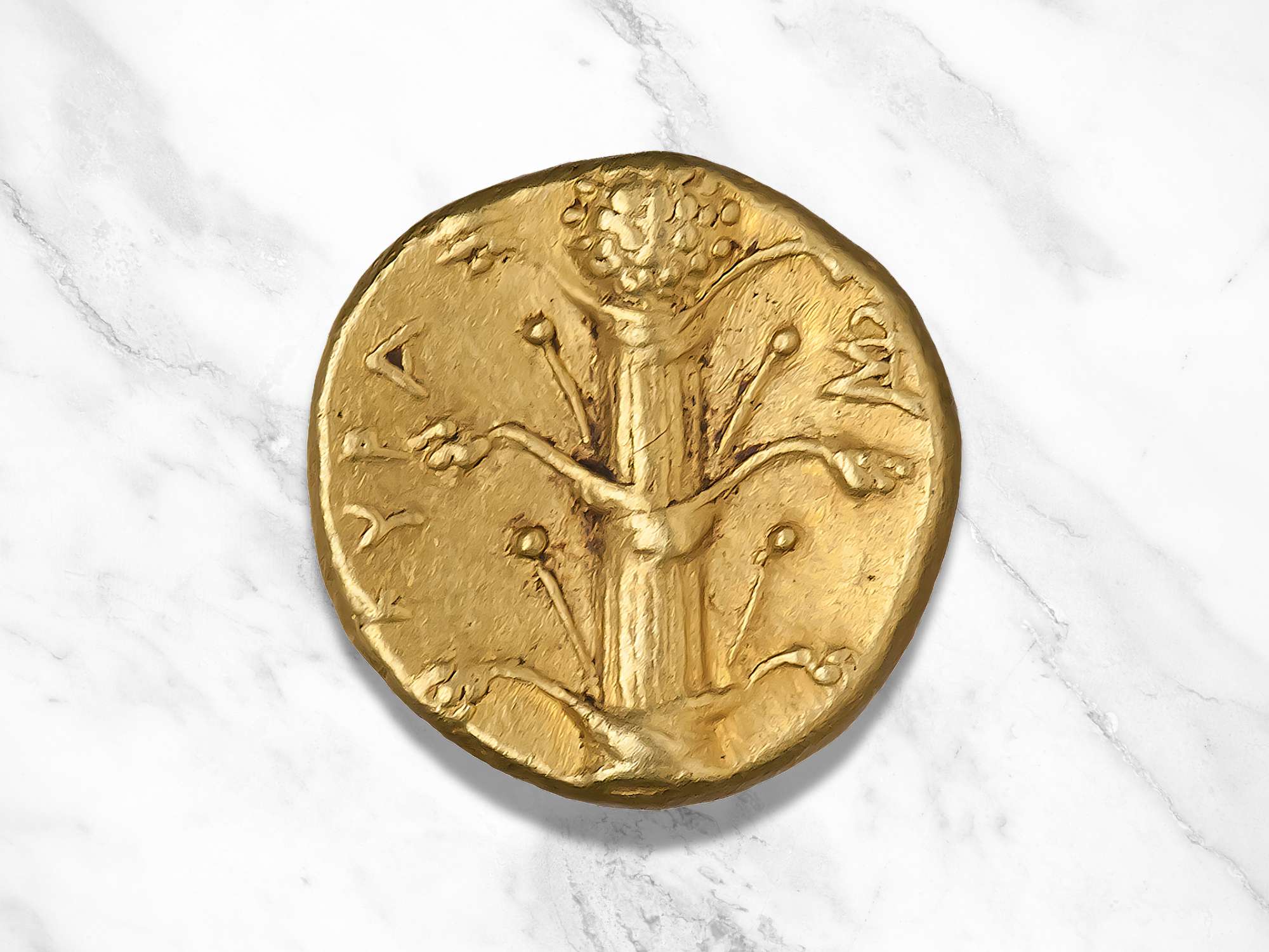 An ancient coin depicting a silphium plant from Cyrene